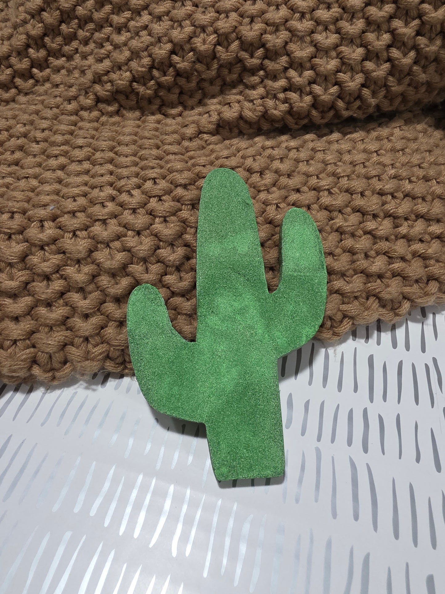 Cactus Car Freshie